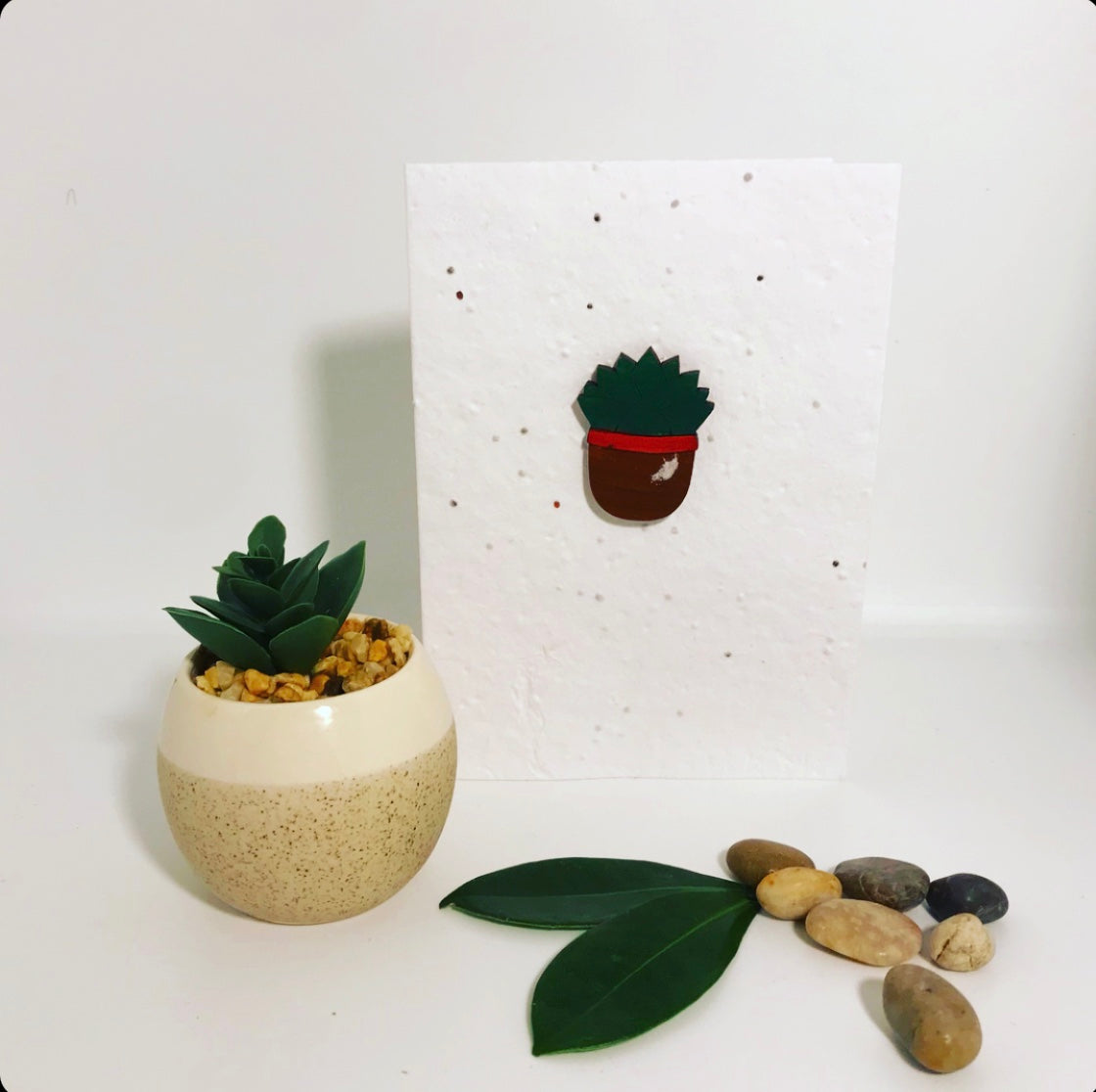 Seeded, plantable greeting card. With hand painted succulent motif .
